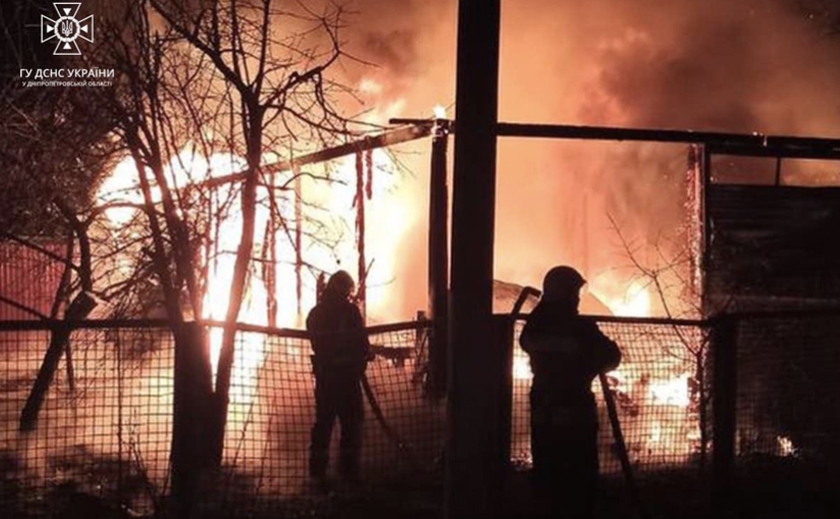 На пожежі у Синельниківському районі згоріло 11 поросят та 2 легковика