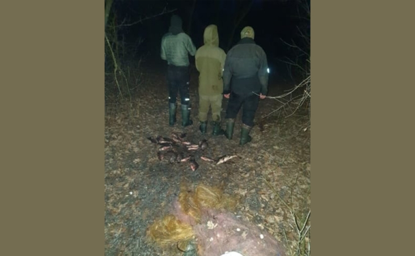 Наловили на 40 тис. грн.: В Синельниківському районі браконьєри ловили рибу сітками з криги