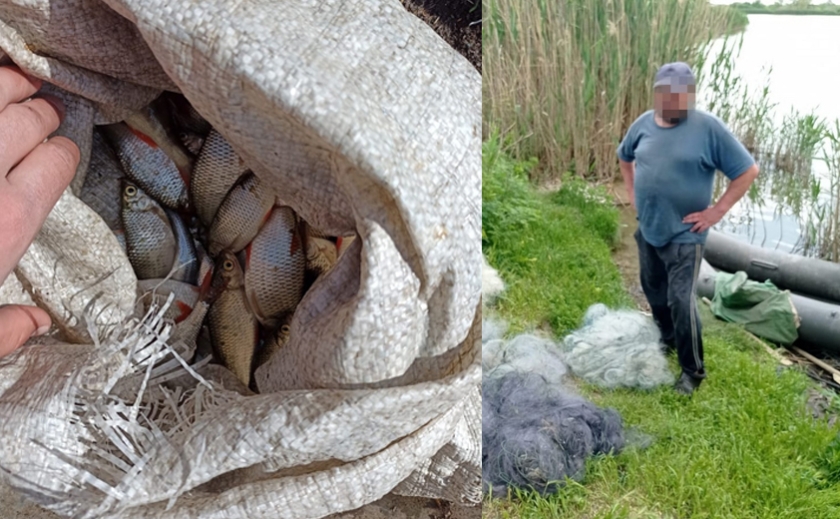 60 рибин на 90 тисяч: на Дніпропетровщині спіймали браконьєра