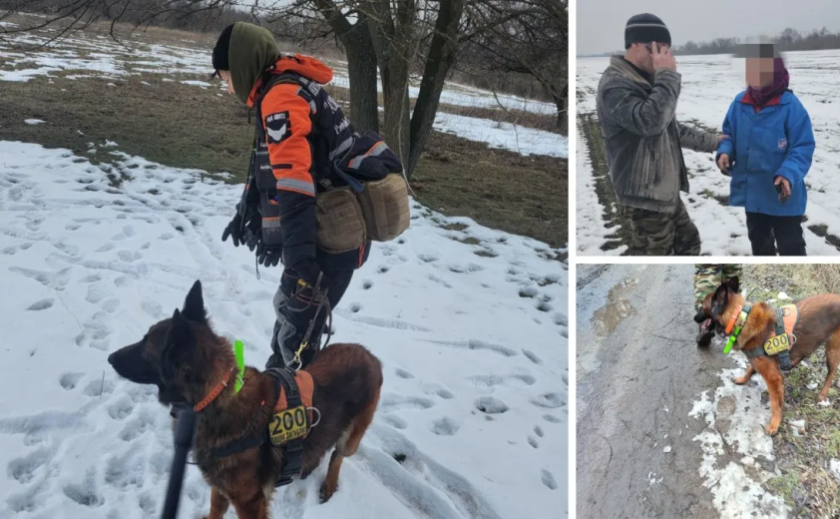 Лежала в полі: пошукова собака допомогла врятувати 69-річну жінку, яка зникла у Синельниківському районі