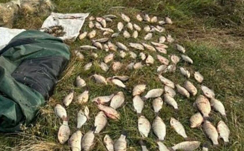 Виловив понад 40 кілограмів риби та раків: на Дніпропетровщині затримали браконьєра